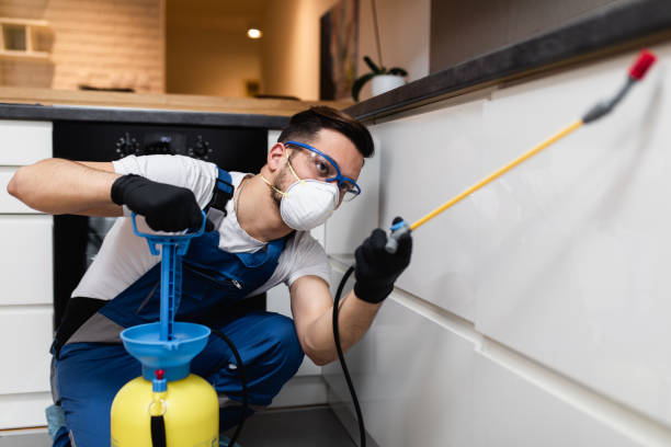 Professional Pest Control in Dalzell, SC