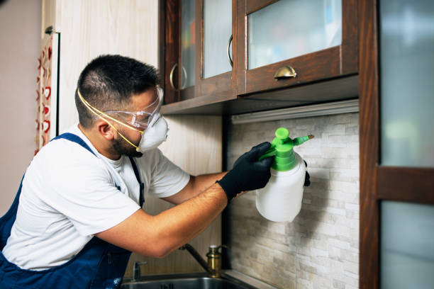 Best Exterminator Services  in Dalzell, SC
