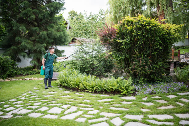 Best Mosquito Control Services  in Dalzell, SC