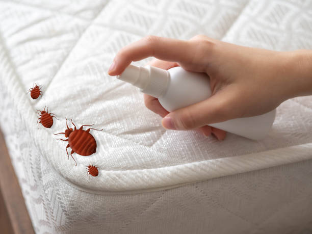 Best Affordable Pest Control Services  in Dalzell, SC