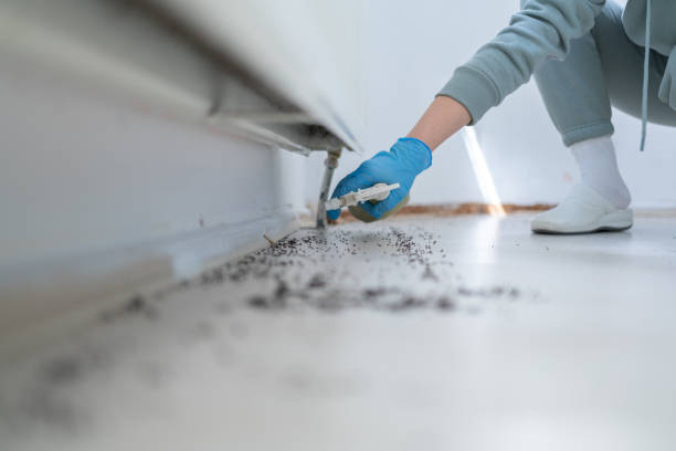 Best Rat Extermination Near Me  in Dalzell, SC