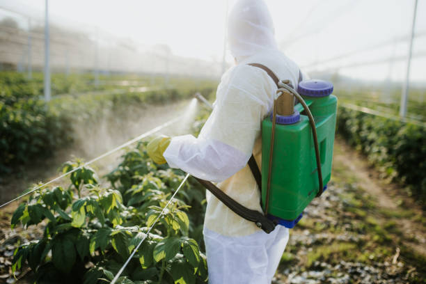 Best Pest Prevention Services  in Dalzell, SC